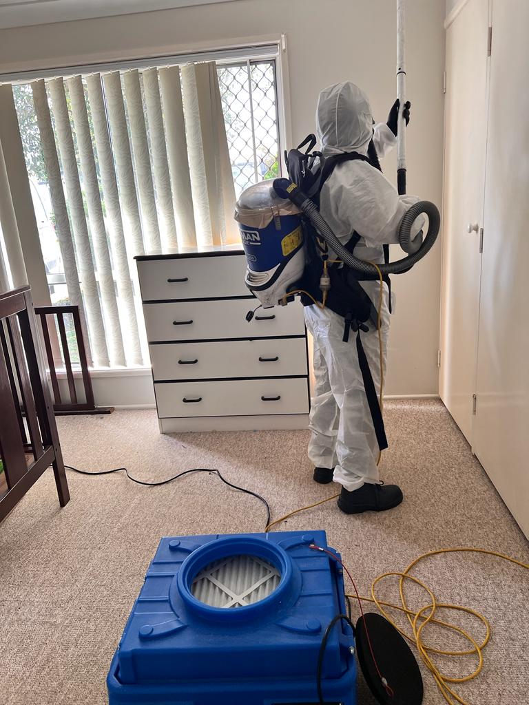 Mould removal expert in action