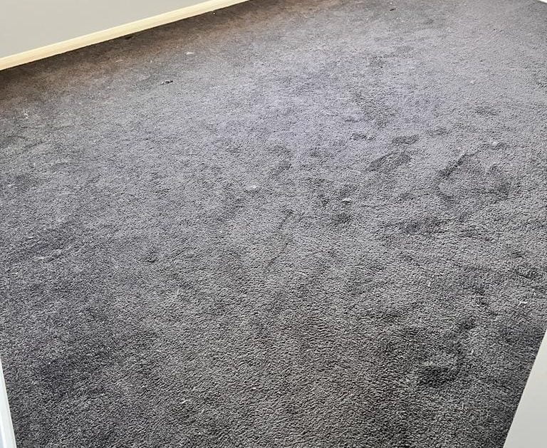 Carpet Cleaning Toowoomba Best Carpet Cleaners in the City